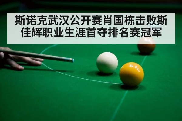 斯诺克武汉公开赛肖国栋击败斯佳辉职业生涯首夺排名赛冠军